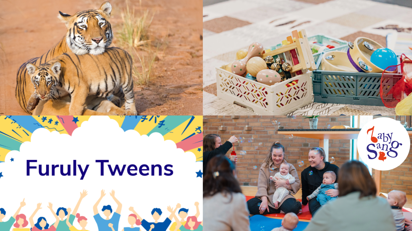 Kollasj med fire bilder: Tiger med baby, rytmeinstrumenter, logo Furuly Tweens, babysang